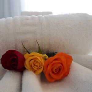 One_Bedroom_Apartments-Pool_view (8)
